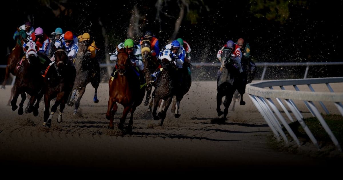 cover article - identité obligatoire entrepreneur individuel - shallow focus photography of horse race