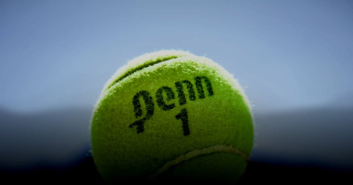 cover article - rédiger CGV boutique en ligne - green tennis ball on hand